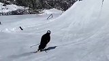 这样的滑雪炫技你学会了吗