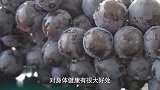 宝宝进食葡萄有这3大好处，但吃太多会增加肠胃负担，需适量