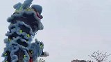 这就是广东的舞狮吗，也太震撼了吧