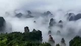 神奇不可思议张家界国际森林公园下点小雨，美的是多么的漂亮！