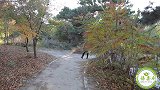 小伙相亲走错地，把美女硕士当成相亲对象，不料美女对他一见钟情