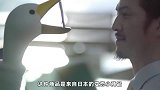 11件奇奇怪怪的小产品，日本不养猫，家家都抱着扫地机器人撸
