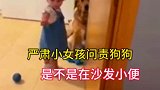 严肃小女孩问责小狗