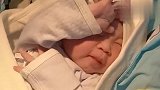 刚出生的小情人好可爱，这下宝爸高兴坏了，画面瞬间被萌化了