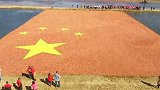 壮观！黑龙江4千亩蔓越莓丰收 农民水上拼出巨型国旗表白祖国