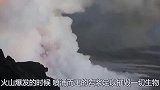 小伙创意美食新吃法，用岩浆烤鱼大家吃过吗？香喷喷让人口水