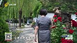 大医本草堂-20230312-减肥·五部曲