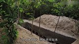 国外牛人徒手挖出“地宫泳池”来，堪比挖掘机，咋不上天呢