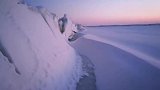 美丽的兴凯湖冰雪芦苇荡风光