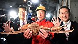 蟹中“爱马仕”！日本一螃蟹被拍出500万日元 破吉尼斯纪录