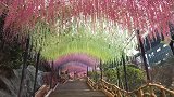 亮点在后面，天门悬廊，马上开始营业
