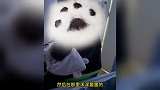 婆婆将白酒冲奶粉喂婴儿喝致全身瘫软，女子：婆婆还未意识到错