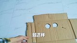 铲屎官自制猫捉仓鼠游戏笼，经过激烈的比拼，最后仓鼠逃出成功！