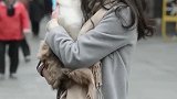 偶遇抱猫咪的小美女，人美猫也那么漂亮！