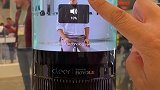 首款曲面屏智能音箱，黑科技满满！ 曲面屏 智能家居