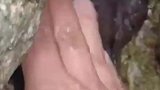小溪里的奇怪石头