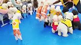 狗狗集体跳绳，场面壮观，太完美了