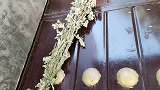 端午节过后，把门上的艾草收回来，还好知道的及时，快学学