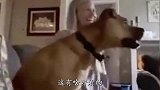 爆笑：就这样的纹身，是不是太简单粗暴了