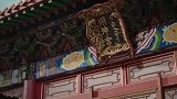 嫔妃们看到容贵人出现在宫里,她们都傻眼了!