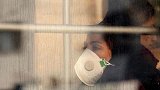 爱无国界不仅仅是日本，马云再向伊朗捐助100万只口罩