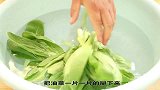 油菜怎样做好吃，试试这样种做法，鲜香味美开胃又下饭