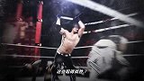 WWE-16年-TLC宣传片：铁梯铁椅铁桌赛争夺WWE世界冠军腰带-专题