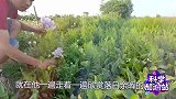 一台生锈的抽水泵，被农村小哥精心翻修后，价值瞬间涨了几十倍！