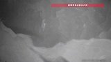 女子手机突然弹出监控预警，陌生男子正在家里翻东西！