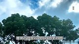 五一南方可能要“泡汤”？两轮大范围降水安排上了