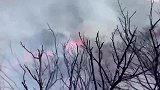 空中消防飞机，超低空降落阻燃剂在灌木丛火灾中，防止火灾