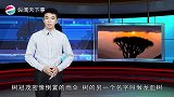 世界上真有会“流血”的树，非洲人还拿它的血做染料，你见过吗