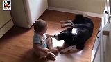 猫咪：小家伙，你松开我！宝宝：你给我过来，过来！