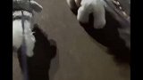 哪有这么可爱的女孩子这样的