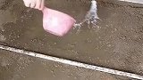 免检砖打膏铺法，这是标准铺地板砖做法