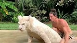 这个大猫好乖，小伙子绝对是个狠人，真是让我大开眼界！