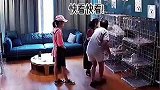 当夫妻俩因为选狗子而起了争执后
