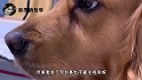 这是我爷送给我爸的，据说可以在北上广换一套房