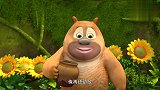 熊二要种蜂蜜啦