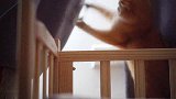 主人给猫咪送了一个专属小床，猫咪表示睡上去一般，但是真好玩
