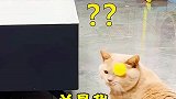 为什么受伤的，总是我