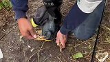钓了只螃蟹，这是要和我拼了啊！