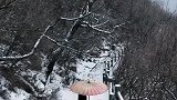 既然修道，何恋红尘。飞雪露餐，一曲伤心。