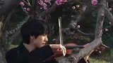 小哥在樱花树下演奏小提琴