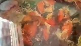 美味番茄牛腩，好吃的停不下来