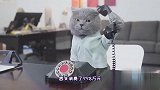 讲四川话成精的喵星人接电话，这配音有意思