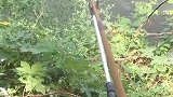猫：兄弟怎么还没有鱼上钩，我都等好久了！