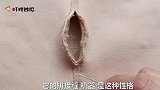 保暖衣打底裤拼接缝开线，教你一招恢复原形，无痕又美观，真厉害