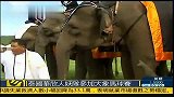 综合-13年-泰国举办大象马球赛 人妖组队参与成看点-新闻