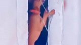 《关于狗子成精这件事》